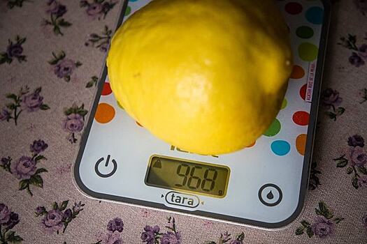 Лимоны-гиганты из Тамбовского района оказались не хуже сицилийских