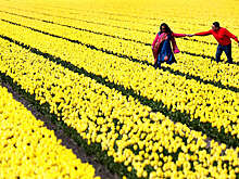 Правительство Нидерландов заявило о сложности обороны от ракет "Сармат" ВС РФ