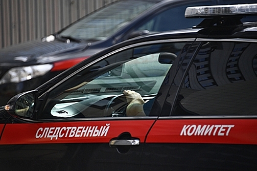Российского водителя задержали за наезд на остановившего его инспектора ГИБДД