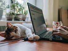 По согласию сторон: Может ли работодатель отправить сотрудника на удаленку либо запретить такой режим