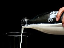 Аграрии Удмуртии произвели почти 825 тысяч тонн молока