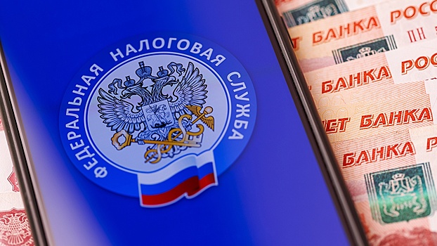 ФНС: пеня за просрочку составит 5,5 копейки на 100 рублей ежедневно