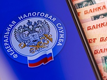 ФНС: пеня за просрочку составит 5,5 копейки на 100 рублей ежедневно