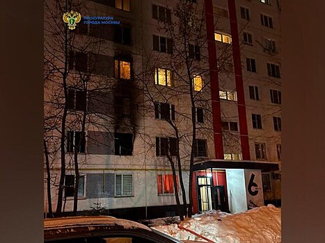 Двое мужчин погибли при пожаре в квартире дома на западе Москвы