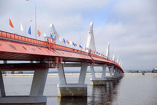 Названа стоимость проезда по новому мосту из России в Китай