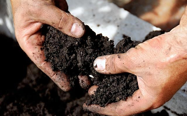 Как определить, что почва кислая, и снизить её кислотность