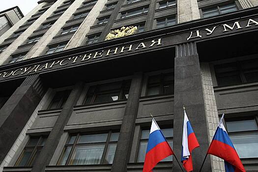 Депутат Горячева взяла на контроль дело об избиении девушки самбистом Гончаровым