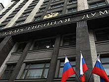 Депутат Горячева взяла на контроль дело об избиении девушки самбистом Гончаровым