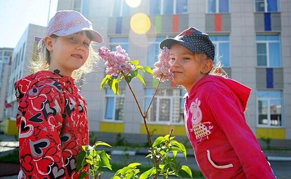 Около четырех тысяч кустарников появится в осенний период в Пресненском районе