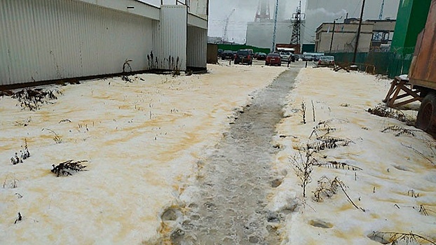 В Карелии выпал желтый снег