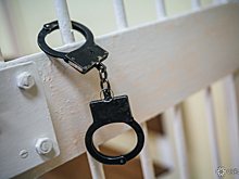 Высокопоставленный судмедэксперт из Сибири попала под уголовную статью