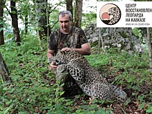 Сочинскому Центру восстановления леопарда присвоено имя Умара Семенова