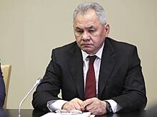 Шойгу прокомментировал озвученные на Западе глупости о России