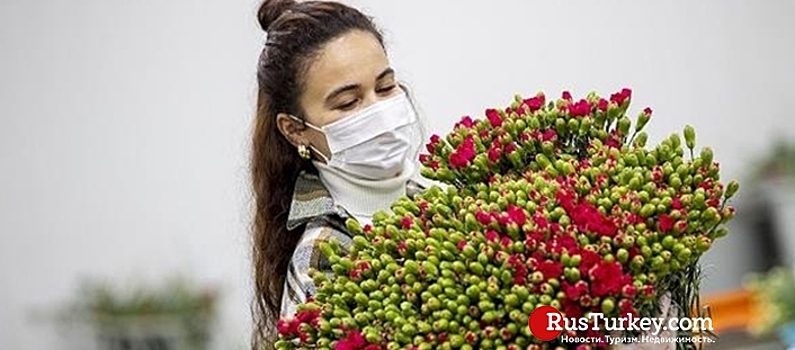 Экспорт цветов из Турции превысил $40 млн