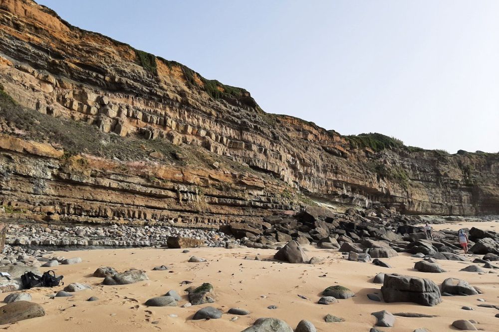 Установлен возраст древнейших земных цветов