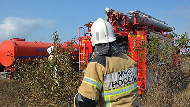 В Воронежской области загорелись 20 гектаров леса