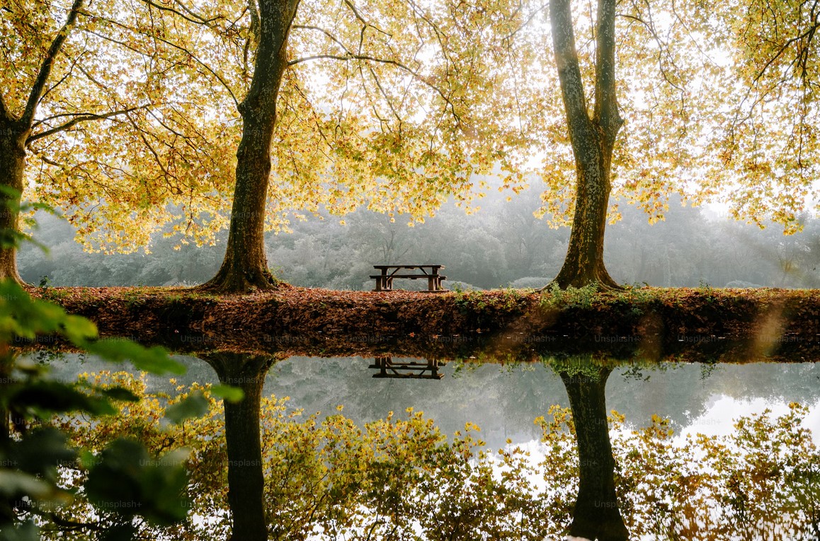 Почему осенняя погода такая непредсказуемая