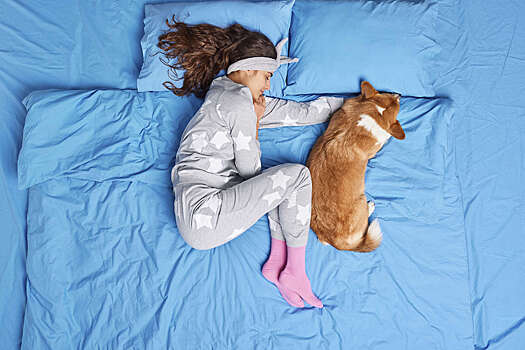 Обнаружен процесс «перезагрузки» мозга во время сна