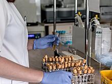 Нужен ли ПЦР-тест? Роспотребнадзор ответил на важный вопрос