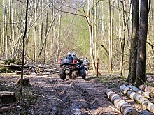 Свыше 20 новых квадромаршрутов запустили в Подмосковье в 2020 году