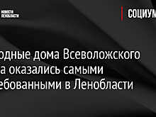 Загородные дома Всеволожского района оказались самыми востребованными в Ленобласти