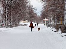 В Надыме появится пешеходный маршрут в 2,6 километров