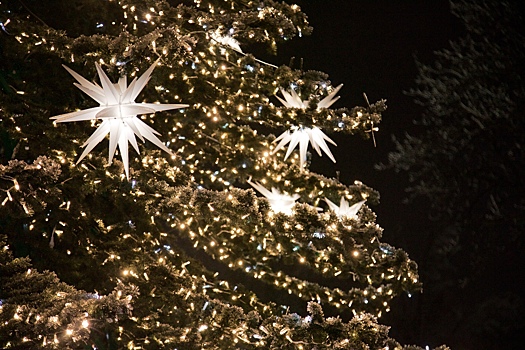 Главную елку города заменят в Шахтах