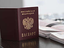 Юрист Ярмуш поддержала идею запретить лицам с двойным гражданством спонсировать партии