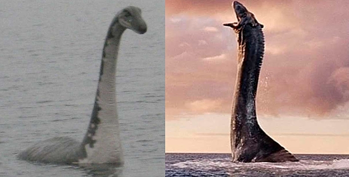 Лох-несское чудовище. Реальное существо или маркетинговый ход?