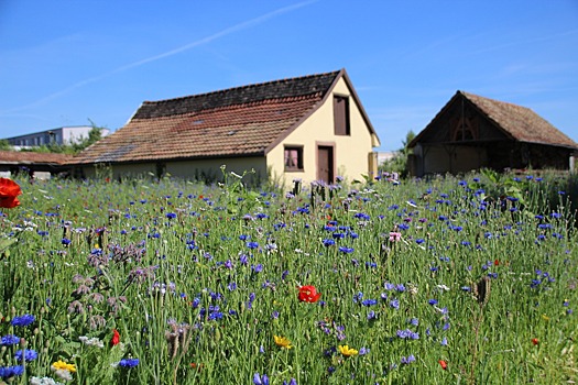 В Калининградской области на 5% подешевели загородные дома