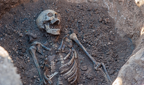 Волгоградцы нашли на своем участке части человеческого скелета