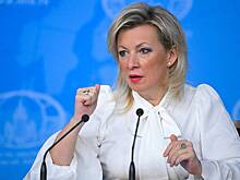 Захарова задалась одним вопросом после слов Трампа о Гренландии