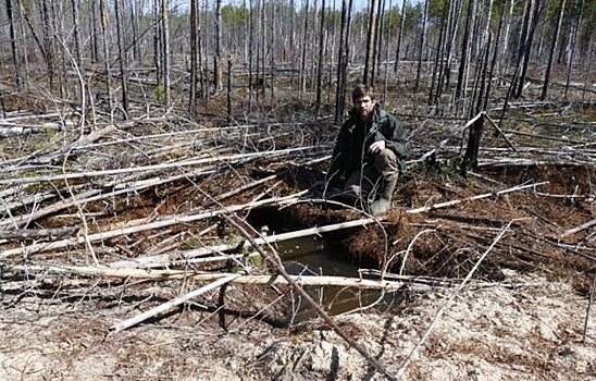 В Керженском заповеднике обнаружили медвежье жилище