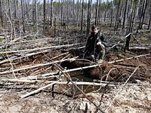 В Керженском заповеднике обнаружили медвежье жилище