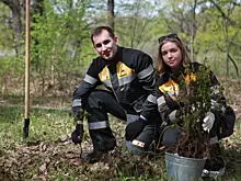 Новокуйбышевские нефтехимики подвели итоги "Зеленой весны"