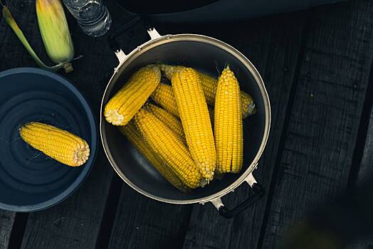 Как правильно варить кукурузу? Лайфхаки, чтобы початки получились сочными