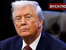 Историк: новая стратегия нацбезопасности США указала ЕС на его риски