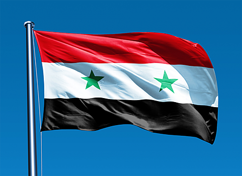 Лавров и Чавушоглу обсудили подготовку к Конгрессу сирийского национального диалога в Сочи