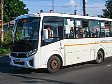Жители Подмосковья с начала года совершили 48 млн бесплатных льготных поездок на коммерческом транспорте