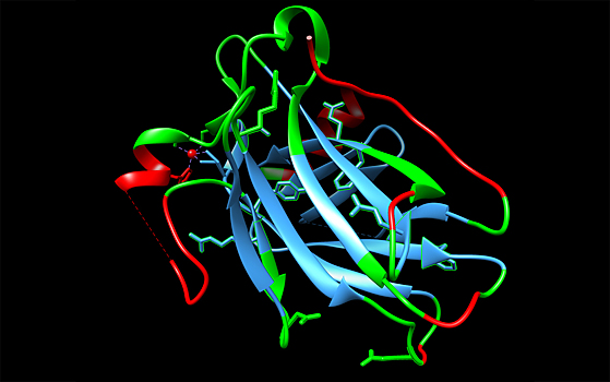 Модель обучили предсказывать заболевания по 3D-структуре белка