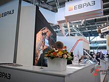 Бывшая глава Нижней Салды стала советником вице-президента «Евраза»