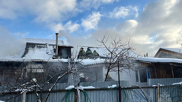 Количество пожаров и травм от петард в России в новогодние праздники снизилось – МЧС