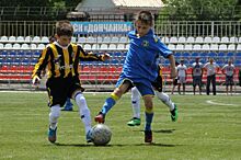 Комитет Госдумы поддержал запрет ставок на детско-юношеские соревнования