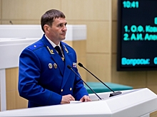 В Хабаровском крае лидирует Дмитрий Демешин
