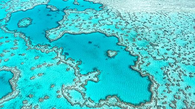 В ООН призвали внести Большой Барьерный риф в список объектов ЮНЕСКО, находящихся под угрозой: Новости ➕1, 28.11.2022