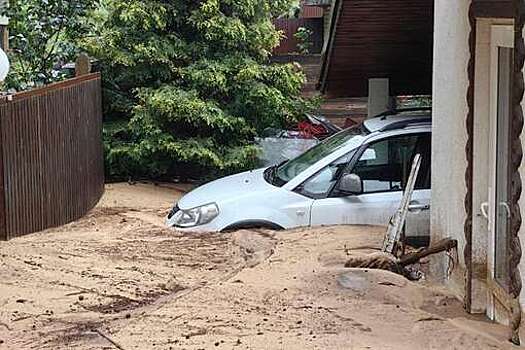 В Ямном Воронежской области сошел крупный сель, дома засыпало землей