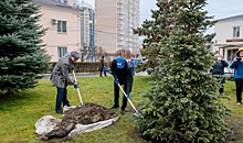 Жители Волгограда поддержали акцию «Единой России» по высадке деревьев