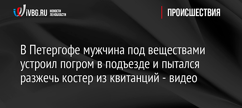 В Петергофе мужчина под веществами устроил погром в подъезде и пытался разжечь костер из квитанций - видео