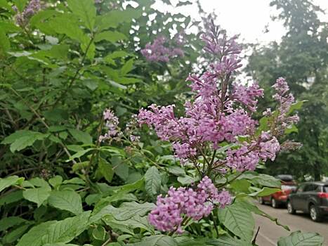 Центр Mekong Connect на острове Фукуок знакомит туристов с местными деликатесами