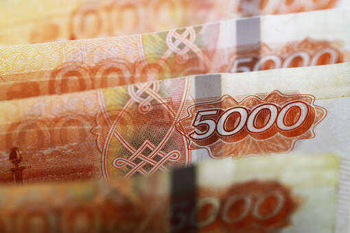 В Петербурге будут судить лжериелтора, укравшую 20 млн рублей